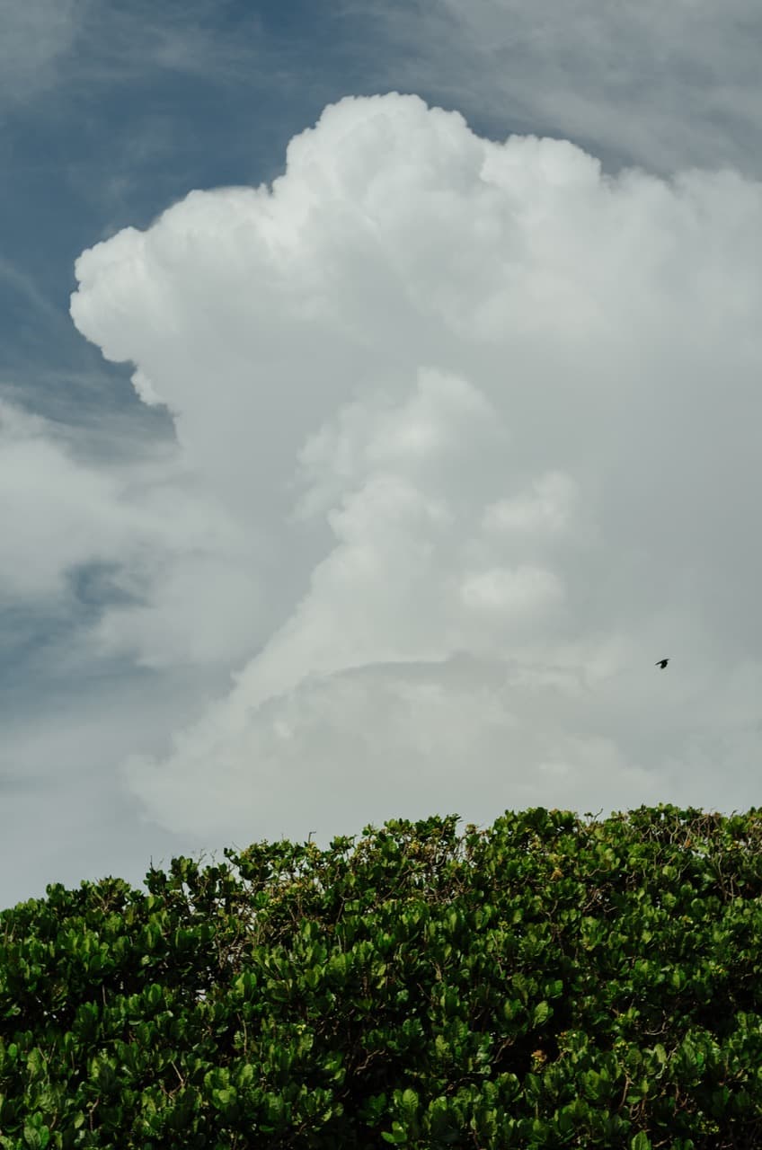 Превью Sri Lanka 2022